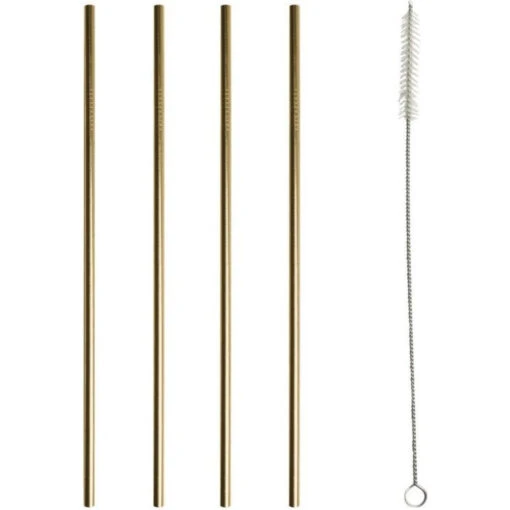 Gusta Rvs Rietjes + Borstel Goud 4 Stuks