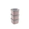Sunware Sigma Home Lunchbakjes Set Van 3 Roze -Beste Keukenspullen 101 3689 1 2