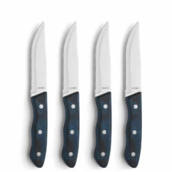 Amefa Hercule Steakmessen 4 Stuks -Beste Keukenspullen 101 6291 5 1