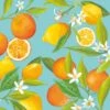 Servetten Lemon Tree 33x33 Cm -Beste Keukenspullen 105 7528 1